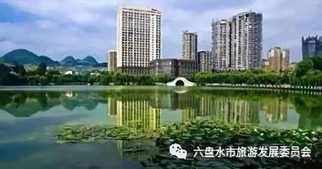 風(fēng)格迥異的六盤水橋梁,你走過幾個